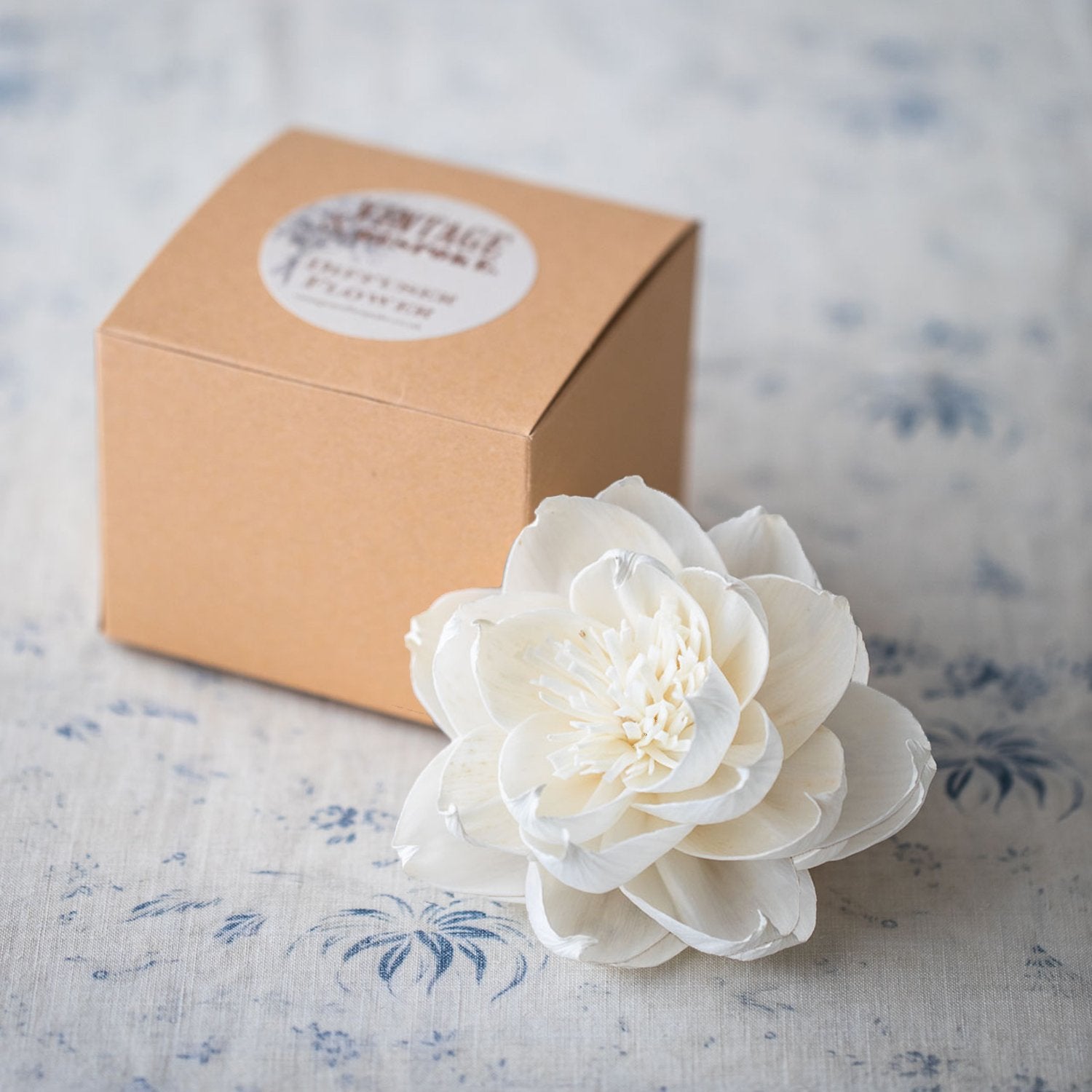 Large Cosmos Diffuser Flower