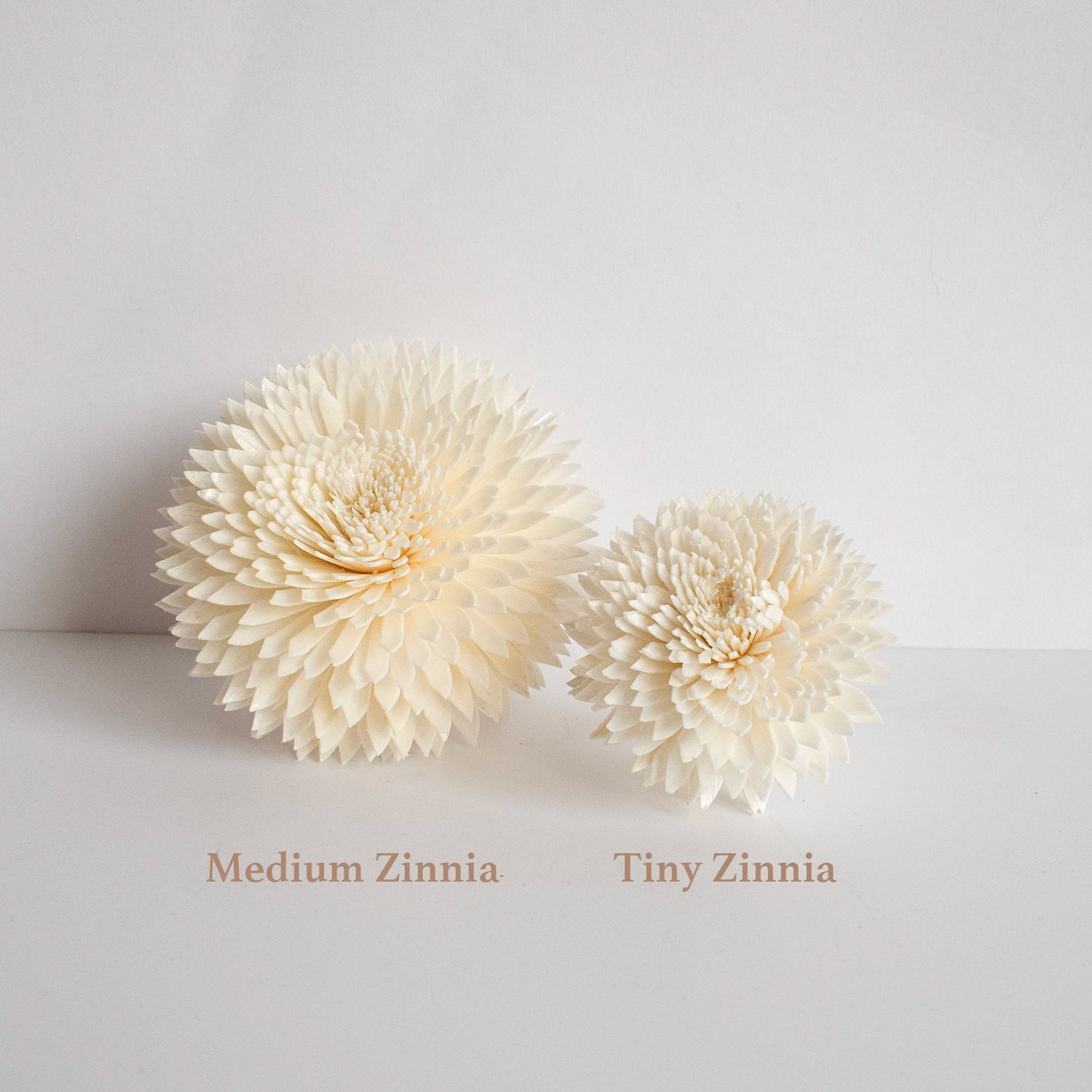 Medium Zinnia Diffuser Flower