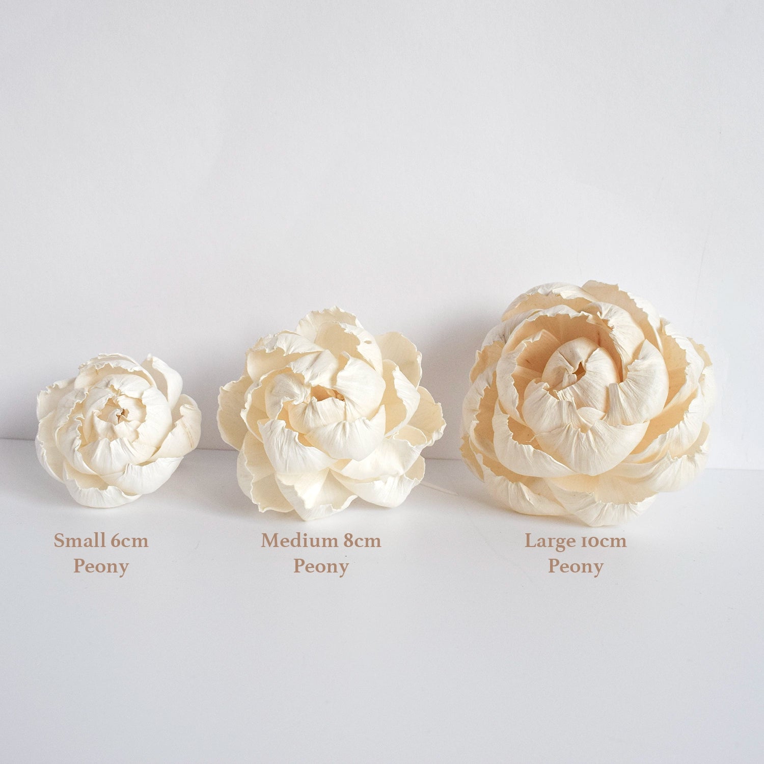 Medium Peony Diffuser Flower