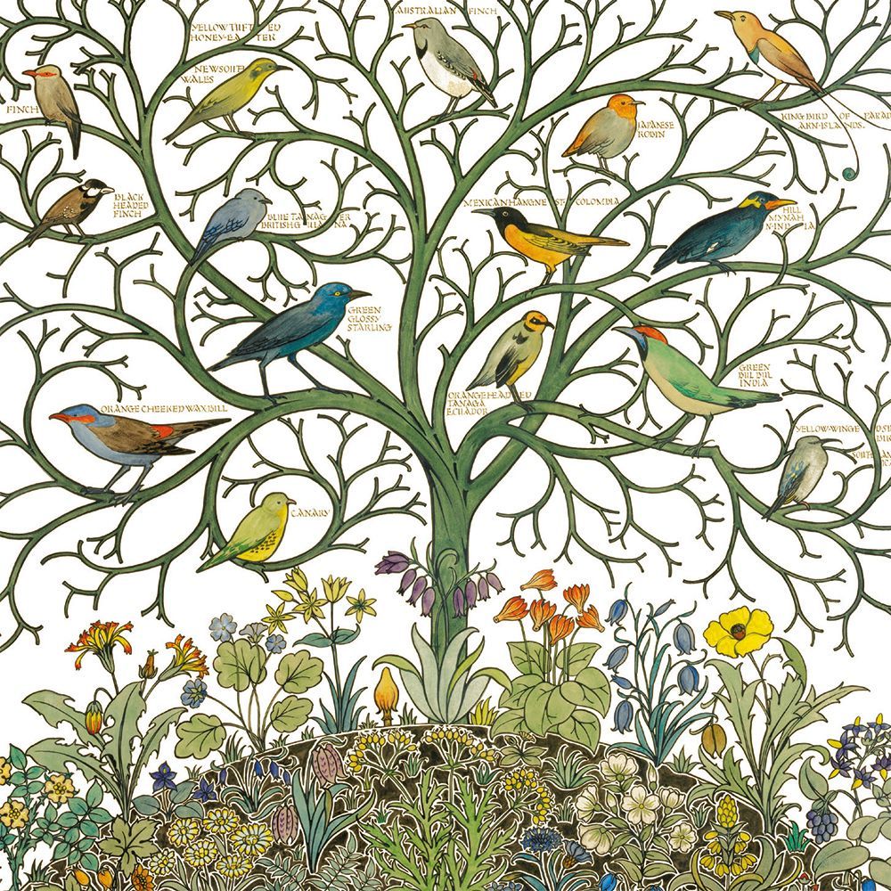 Pack of 8 Notecards - Voysey Birds