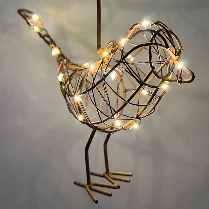 hanging robin light