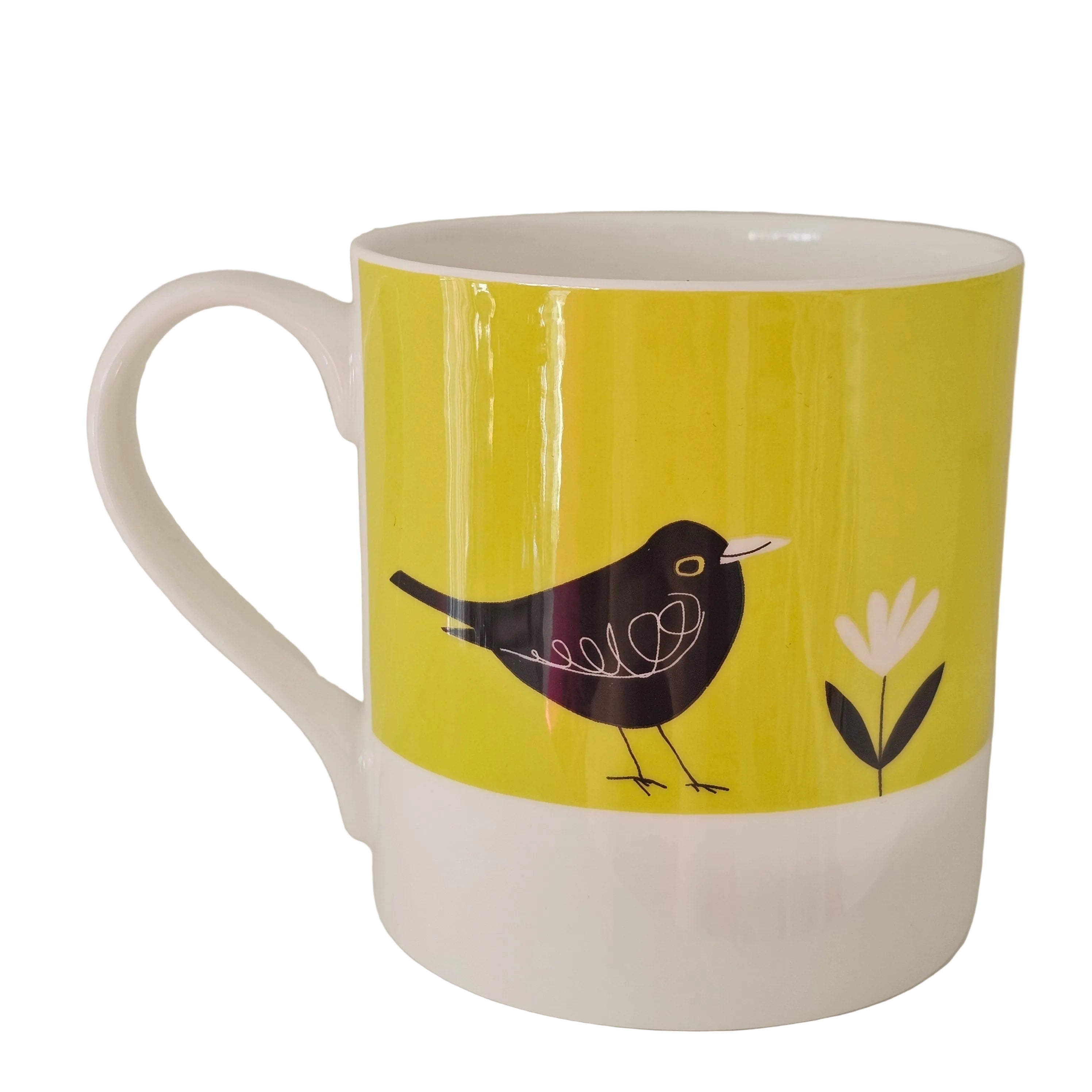 Mug with a green background and black bird design