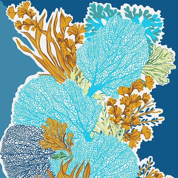 Cotton pareo or stole with coral pattern: Navy