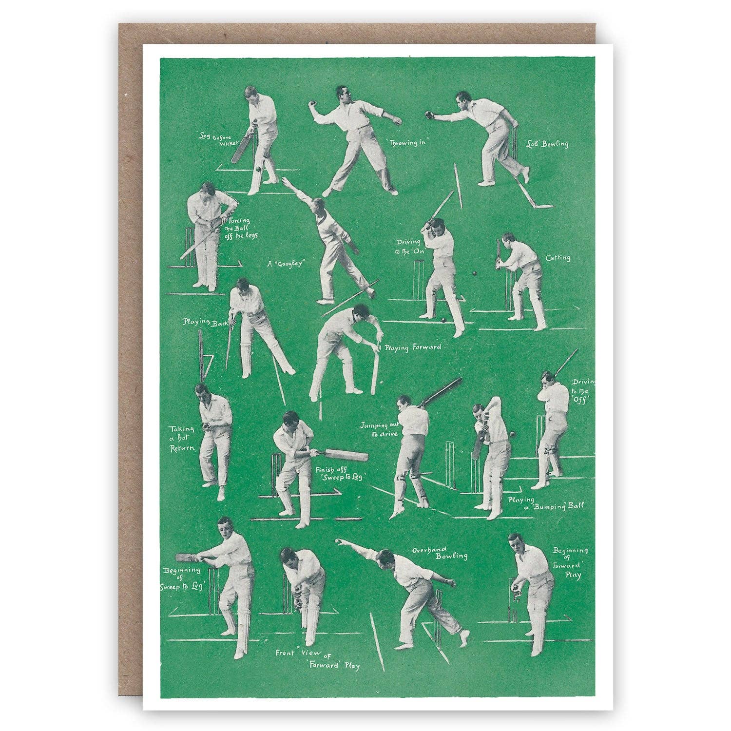 Educational card on cricket batting techniques with illustrations of players on a green background.