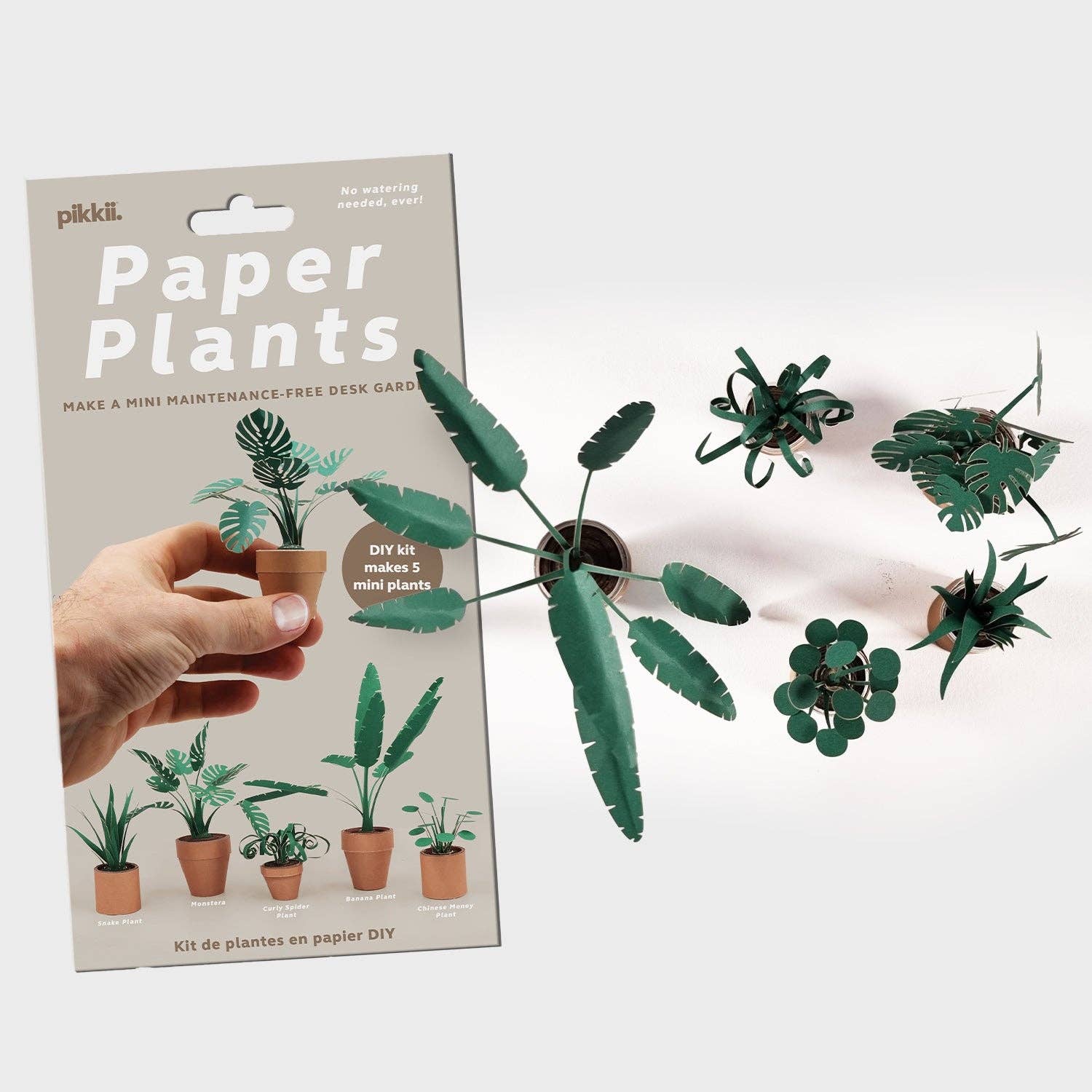 Pikkii Paper Plants packaging with paper plant models on a white background