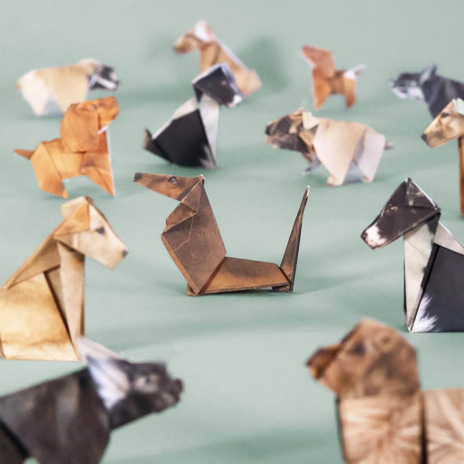 Paper pups origami dogs on light green background