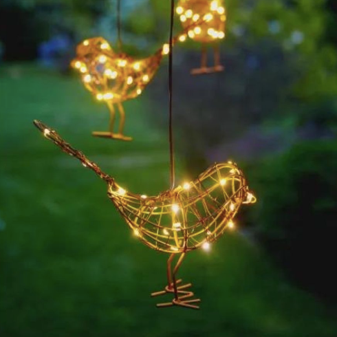 hanging robin light