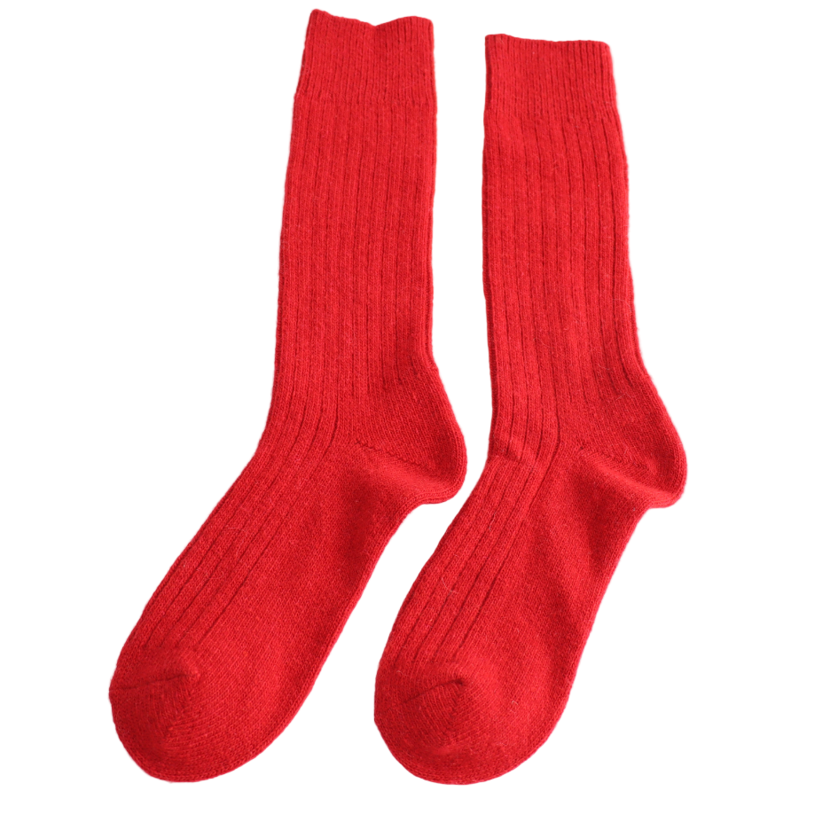 Pair of red socks on a white background