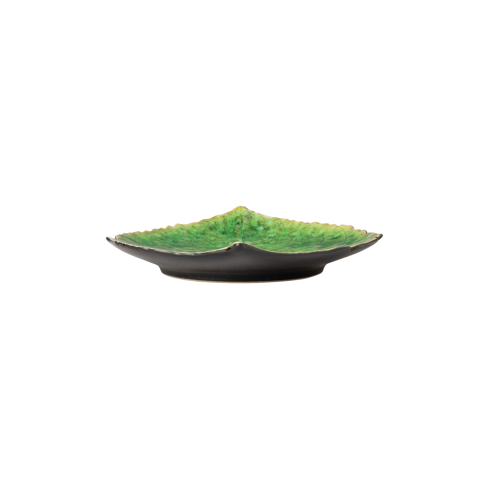 Decorative dish with green moss-like material on a white background