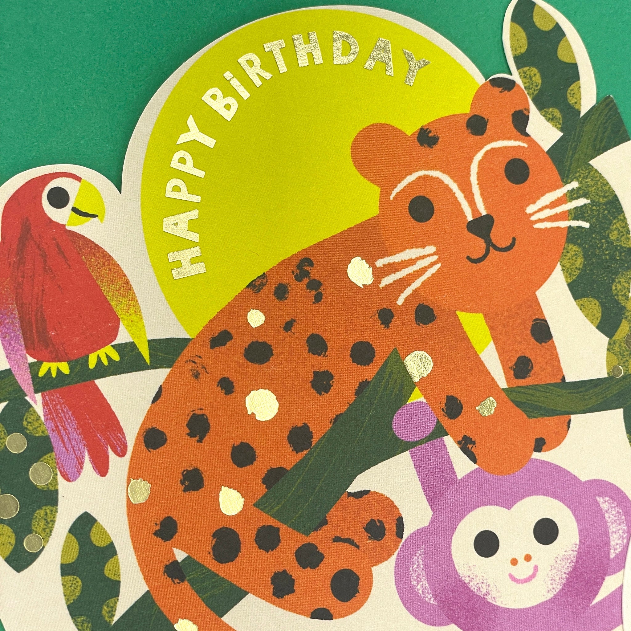 Happy Birthday - Have a Wild Day