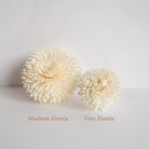 Medium Zinnia Diffuser Flower