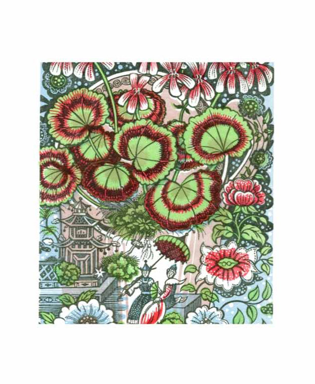 Pelargonium Greeting Card