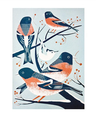 Greetings card featuring Bramblings and a Nuthatch by Chris Andrews, published by Art Angels