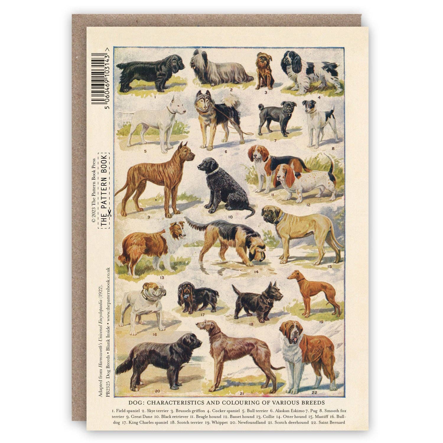 Vintage-style greeting card with illustrations of various dog breeds on a white background.